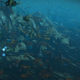 Illustration for article titled iNo Mans Sky/i Underwater Update Opens Up New Worldsem/em